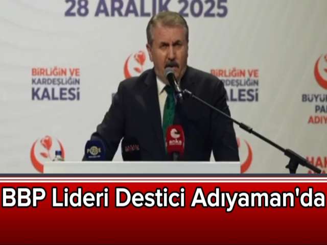 Destici'den Ergen'e Sert Tepki