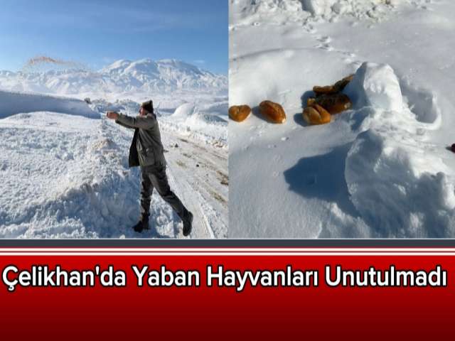 Yaban Hayvanları Unutulmadı