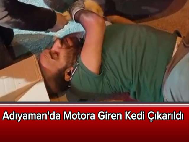 Motora Giren Kedi Çıkarıldı