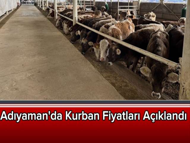 Kurban Fiyatları Açıklandı