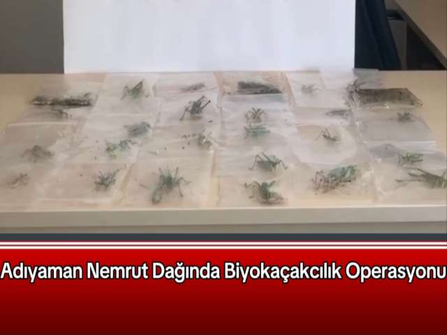 Adıyaman'da Biyokaçakcılık Operasyonu
